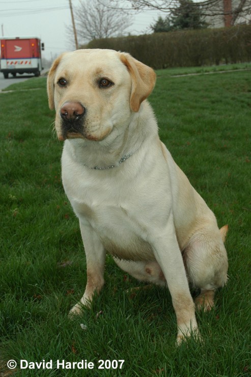 maxwell_DSC_6847 - Sit angle big head.jpg